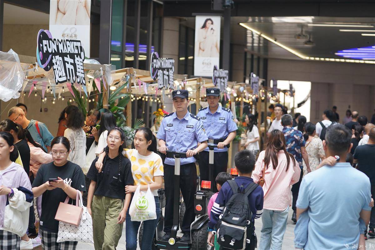 捕鱼达人的鱼